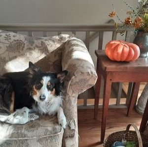 Meet your Posher, Nancy